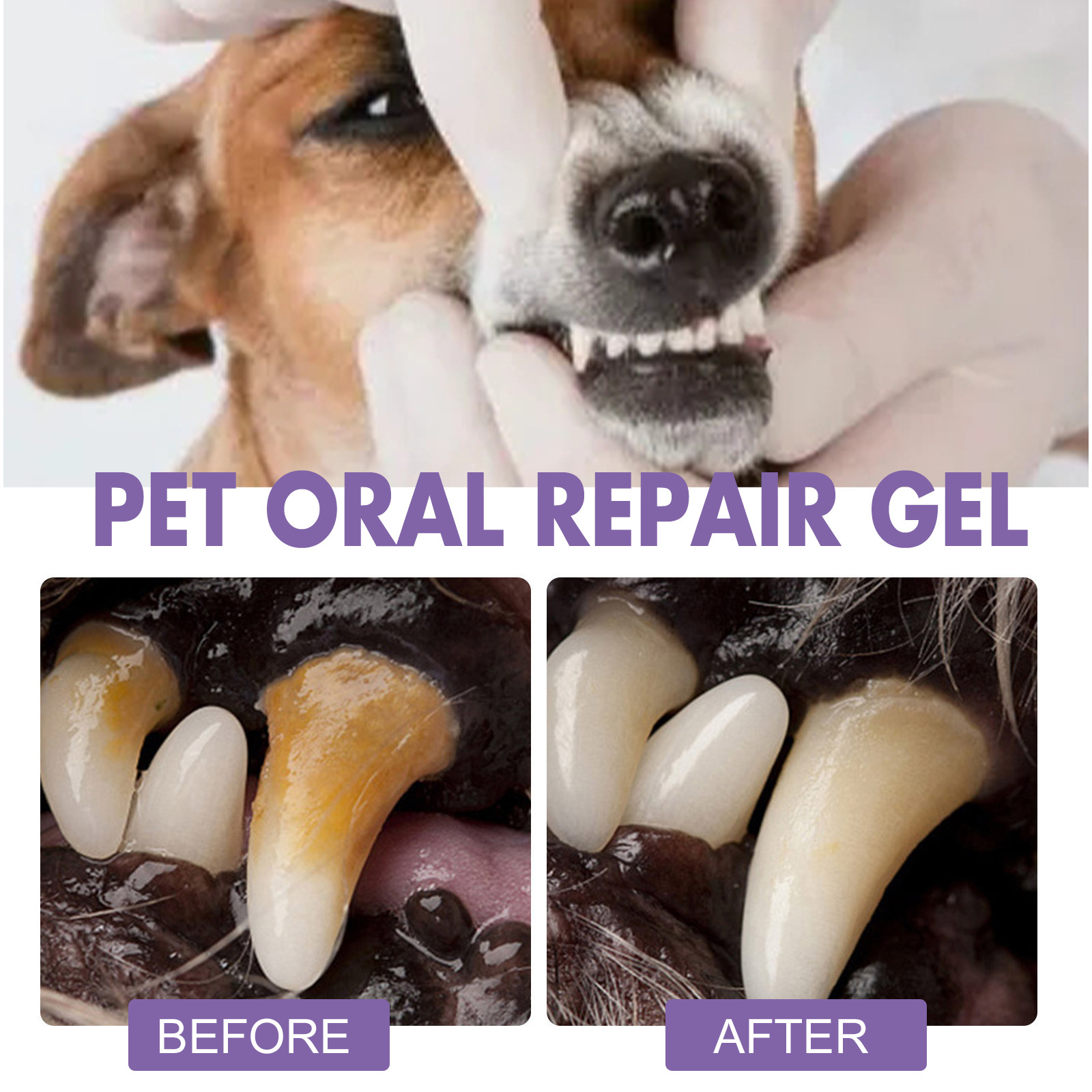 Pet Oral Repair Gel Puppy Tart - огляд і ціна Teeth Whitening Gels